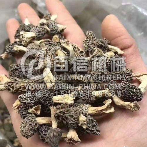 羊肚菌烘干机