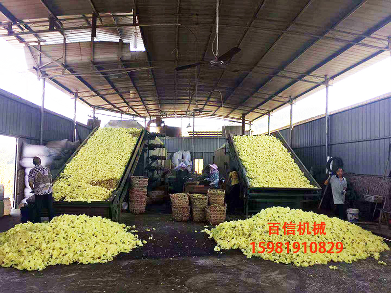 中药材烘干机